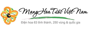 MẠNG HOA TƯƠI VIỆT NAM – GỬI ĐIỆN HOA – QUÀ TẶNG VỀ VIỆT NAM