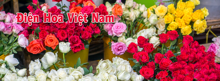 Điện hoa Việt nam