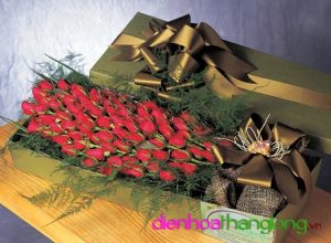 Hoa Hộp 011