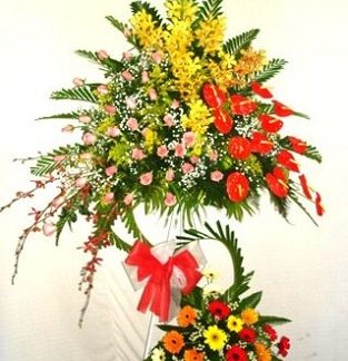 Hoa Mừng Khai Trương 021