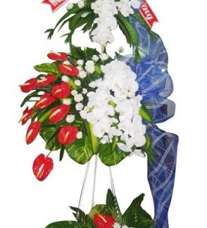 Hoa Mừng Khai Trương 024