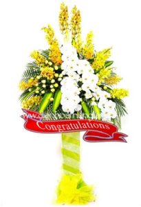 Hoa Mừng Khai Trương 030