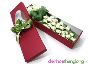 Hoa Hộp 001