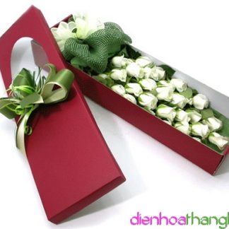 Hoa Hộp 001