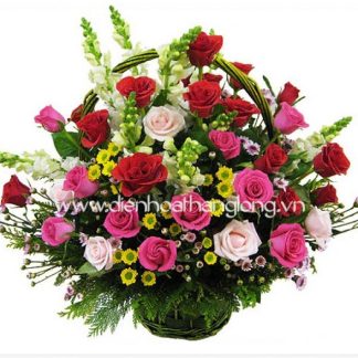 Hoa Ngày Lễ 024