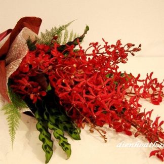 Hoa Ngày Lễ 029